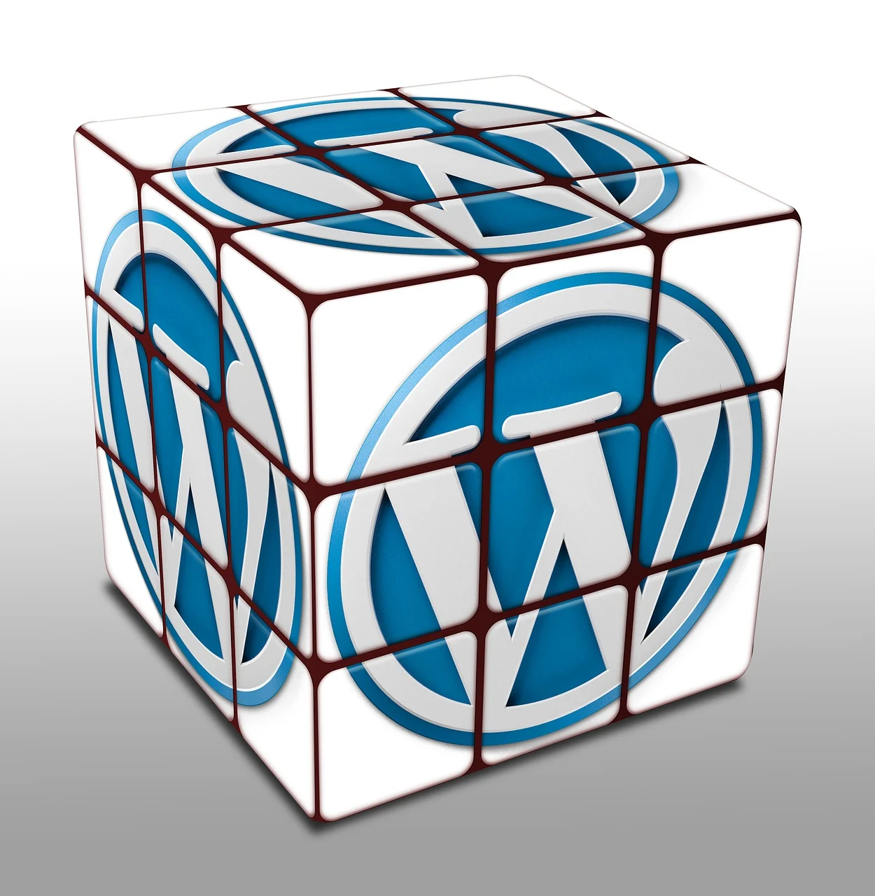 WordPress Icon